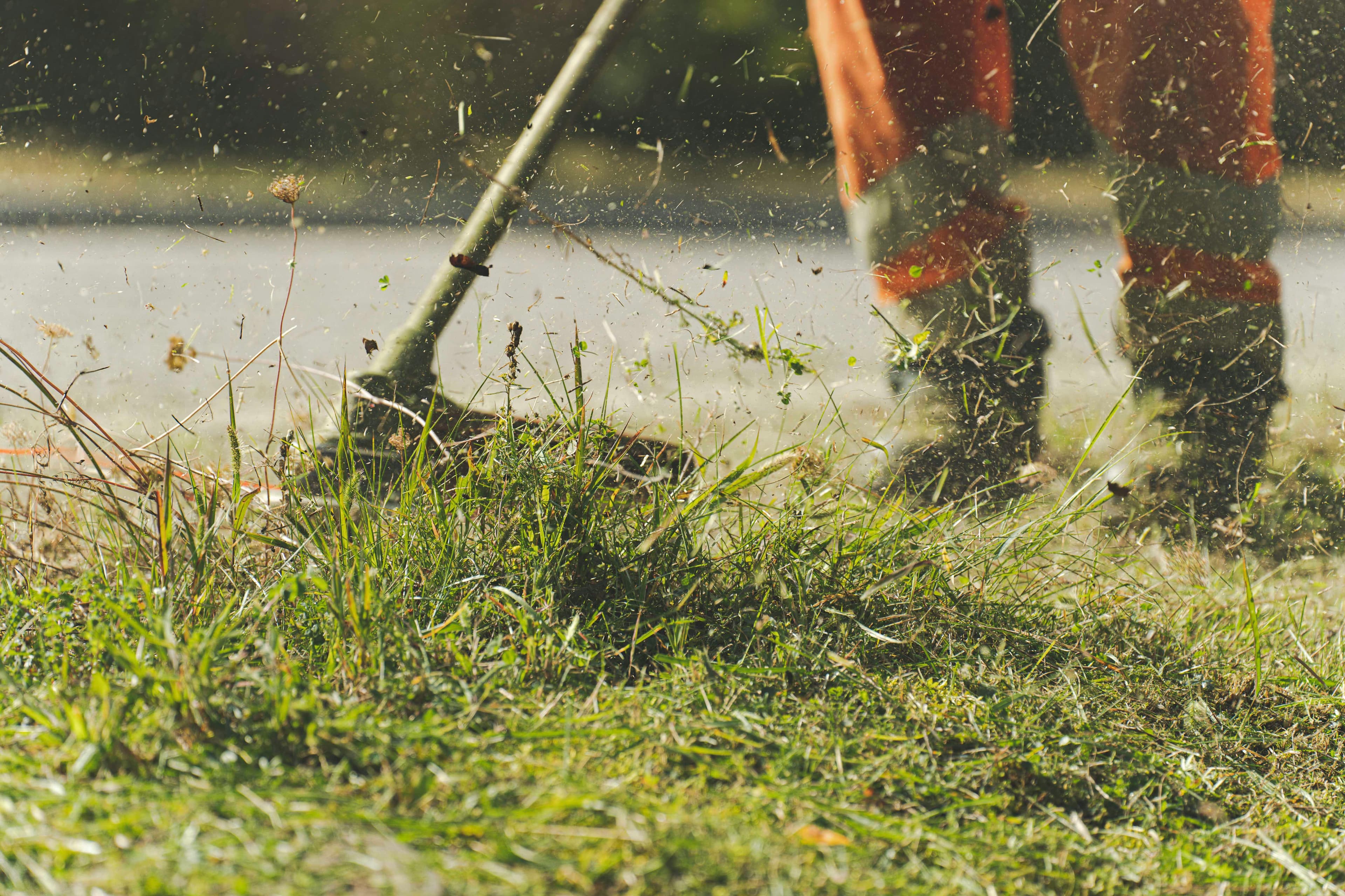 Landscaping crew maintaining a yard