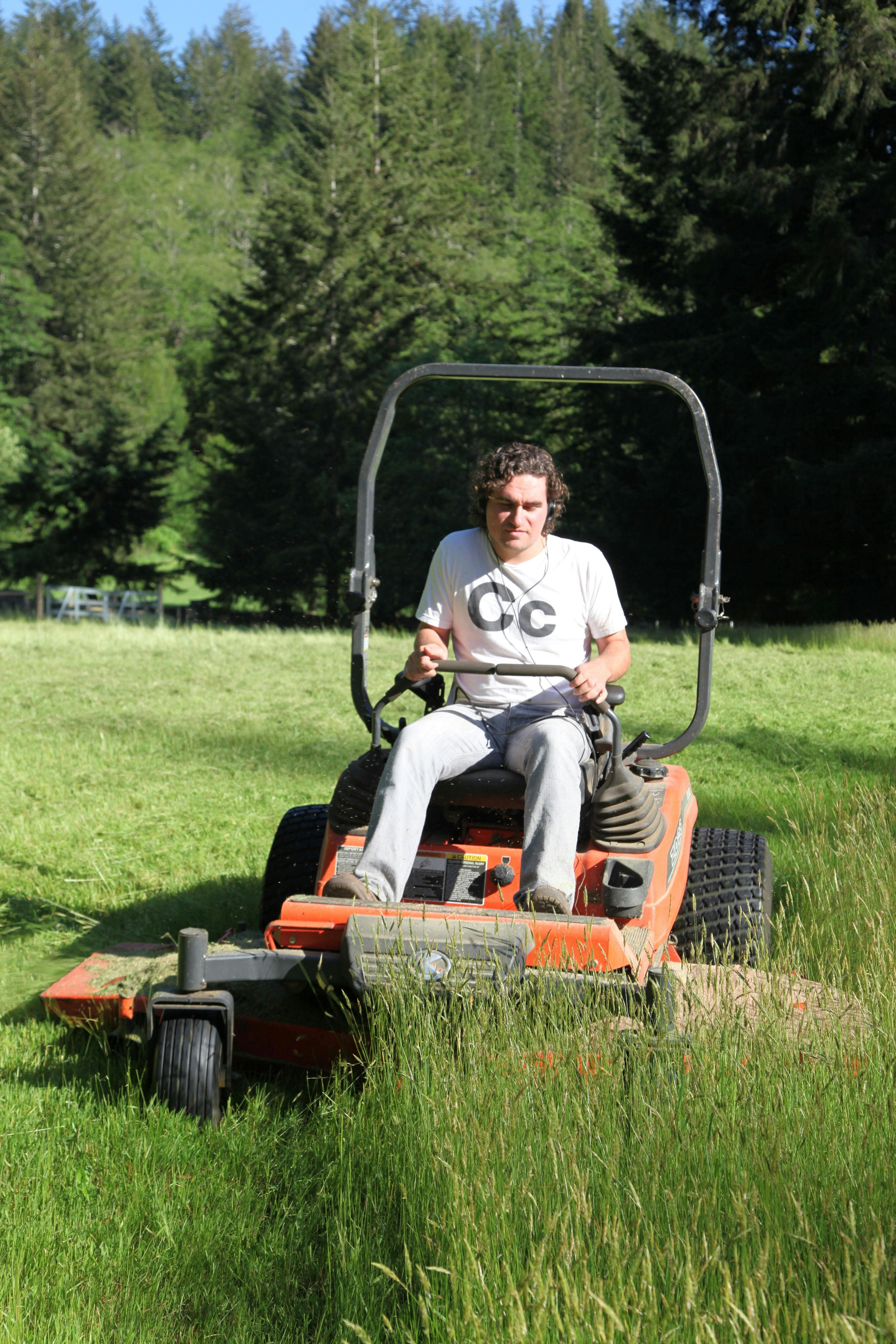 Landscaping
